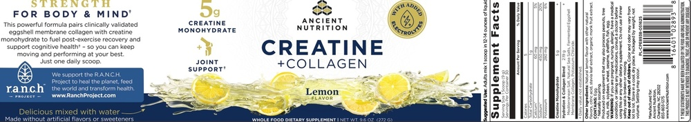 Product image for Creatine + Collagen + Electrolytes, Lemon.