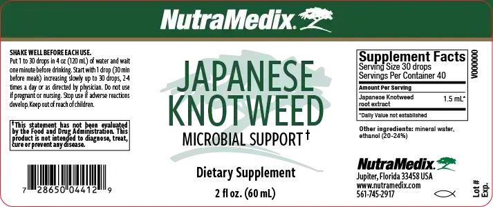 Product image for Japanese Knotweed.