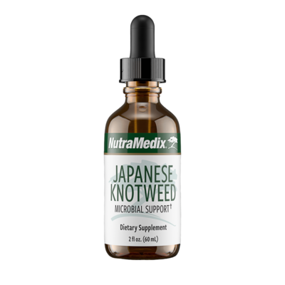 Japanese Knotweed 2 ounces