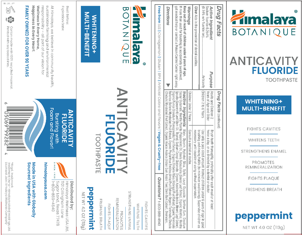 Product image for Anticavity Fluoride Toothpaste, Peppermint.