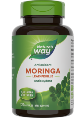 Moringa Leaf