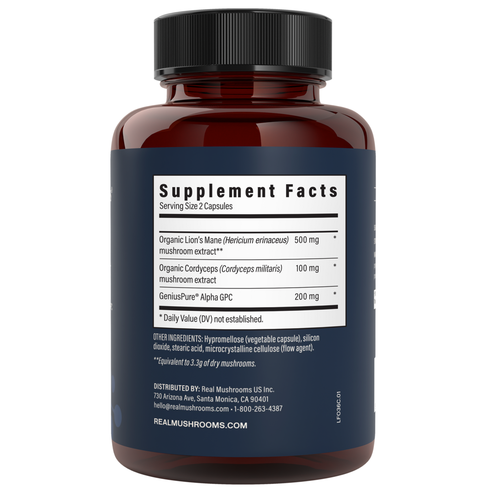 Product image for Lion's Mane Focus (with Cordyceps and Alpha GPC).