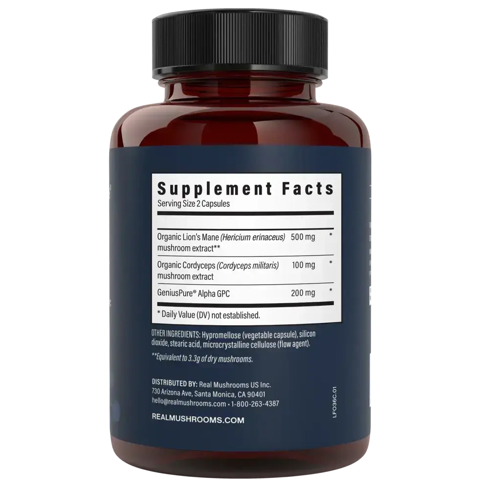 Product image for Lion's Mane Focus (with Cordyceps and Alpha GPC).