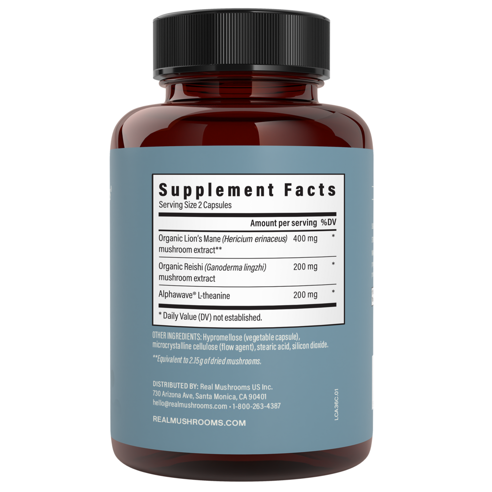 Product image for Lion's Mane Calm (with Reishi &amp; L-Theanine).