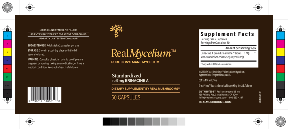 Product image for Real Mycelium™.