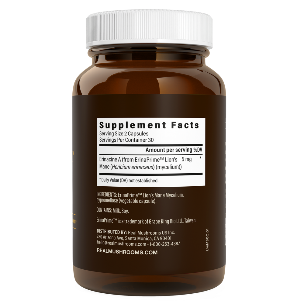 Product image for Real Mycelium™.