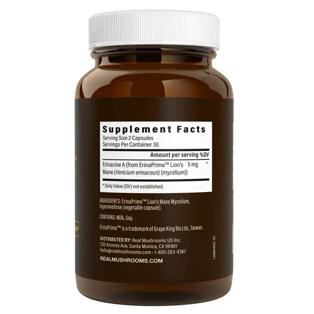 Product image for Real Mycelium™.