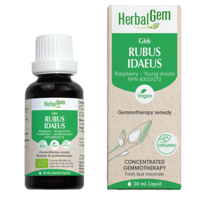 G66 Rubus idaeus (Raspberry) Gemmotherapy Remedy