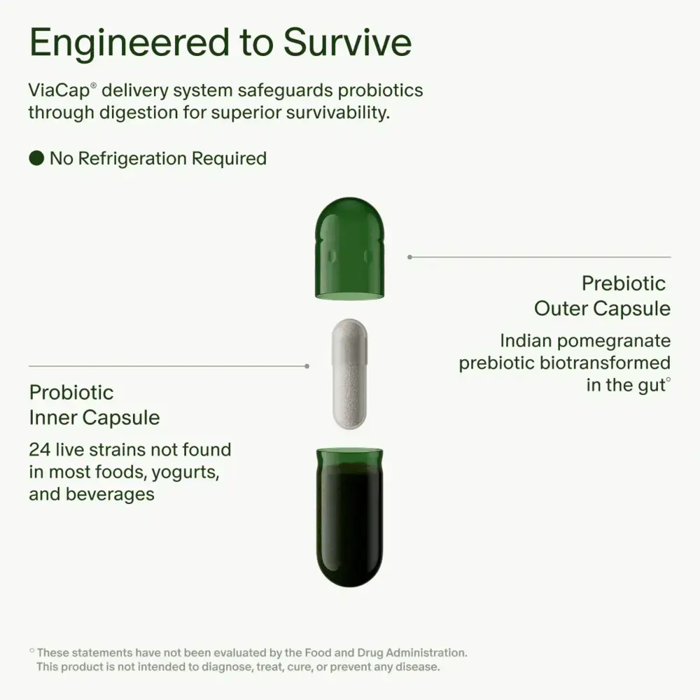 Product image for Seed DS-01® Daily Synbiotic.