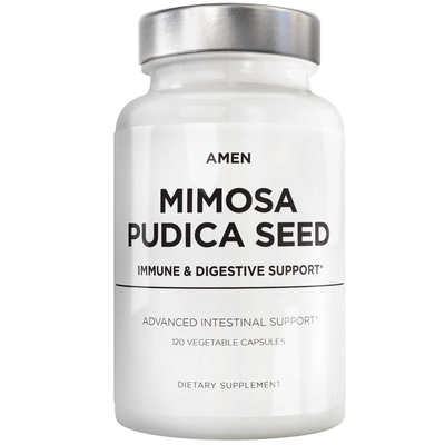 Organic Mimosa Pudica Seed product image