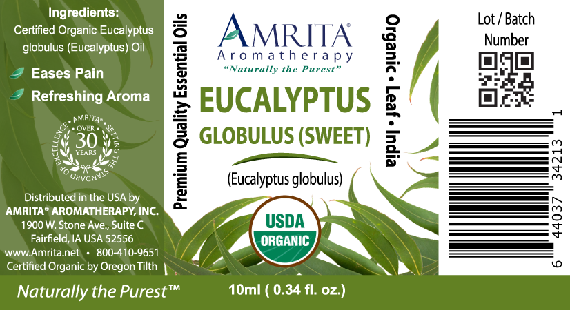 Product image for Organic Eucalyptus Globulus (Sweet).