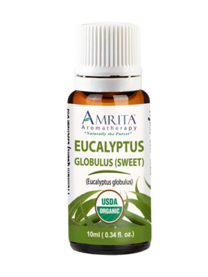 Organic Eucalyptus Globulus (Sweet) 10 Milliliters