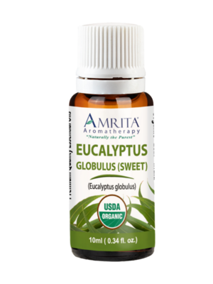 Organic Eucalyptus Globulus (Sweet) 10 Milliliters