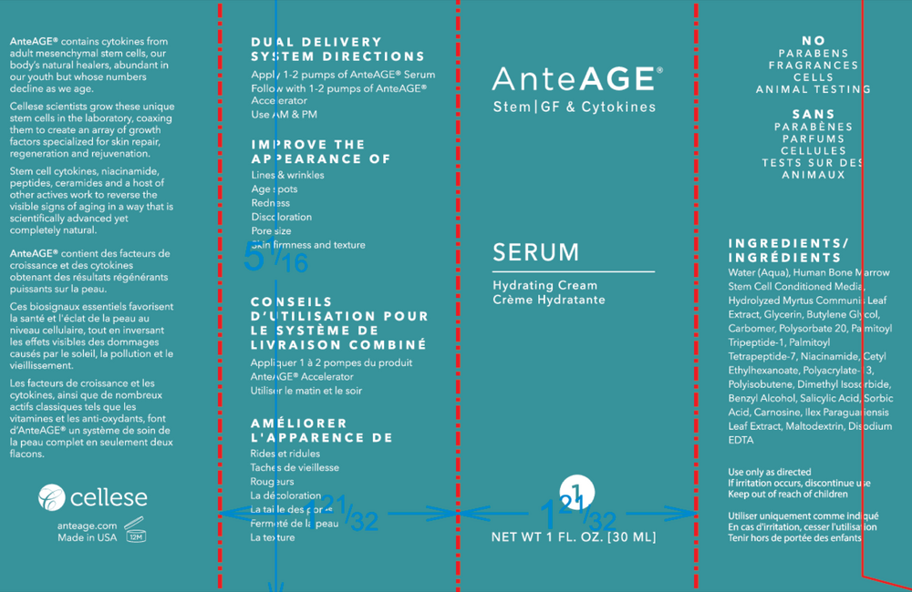 Product image for AnteAGE Serum.