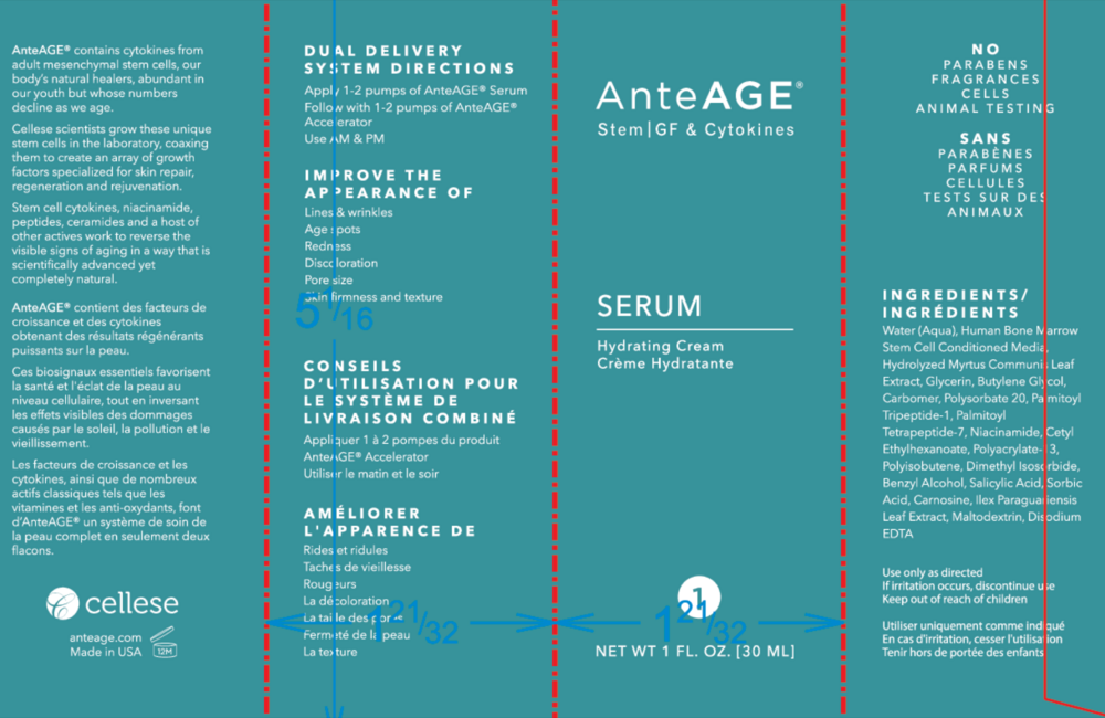 Product image for AnteAGE Serum.