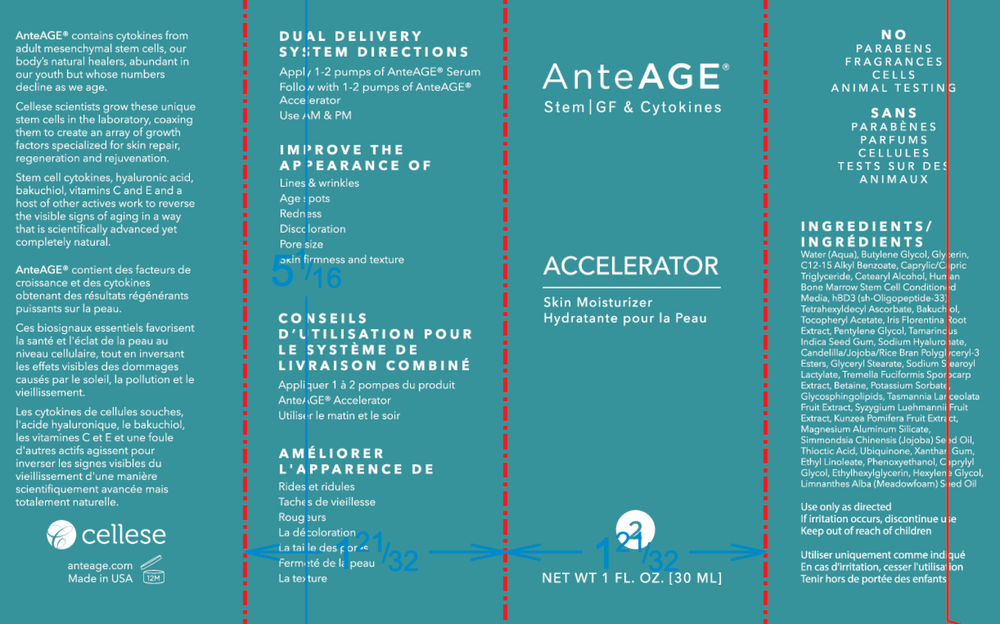 Product image for AnteAGE Accelerator.