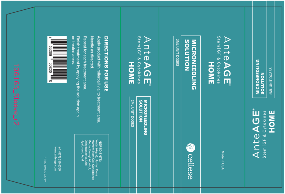 Product image for AnteAGE Home Microneedling Solution 5 tu.