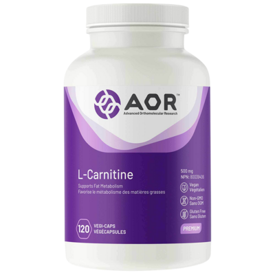 L-Carnitine 120 capsules