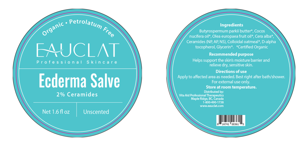 Product image for Ecderma Salve - Unscented.