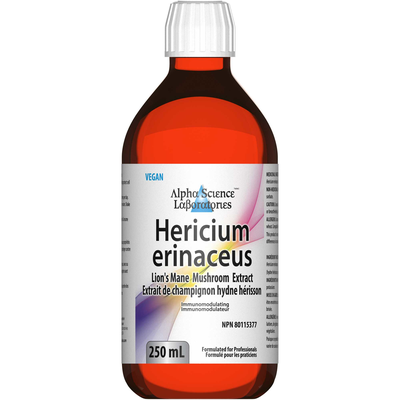 Lion's Mane Mushroom Extract product image