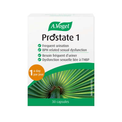 Prostate 1