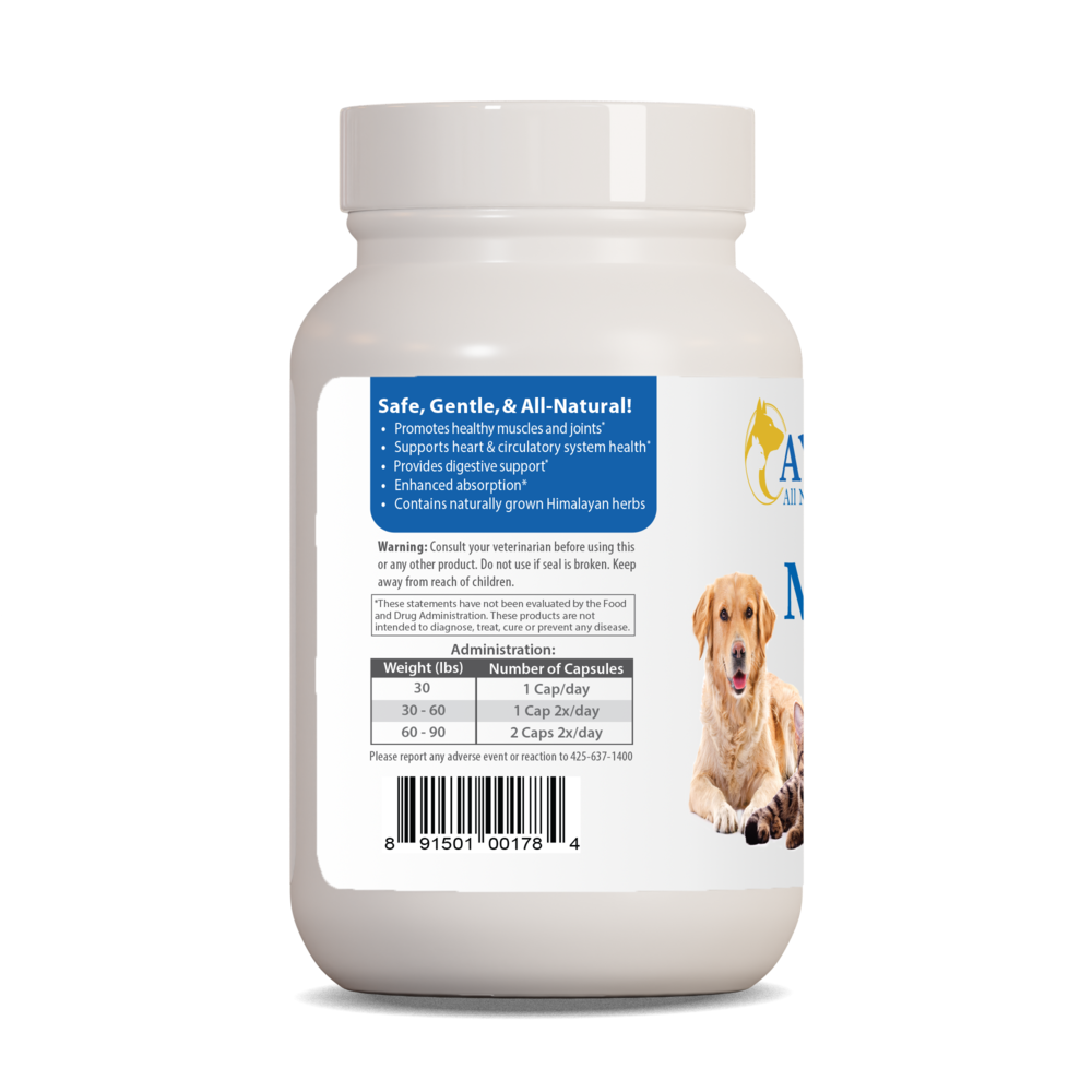 Product image for Pet Curcumin 97%.