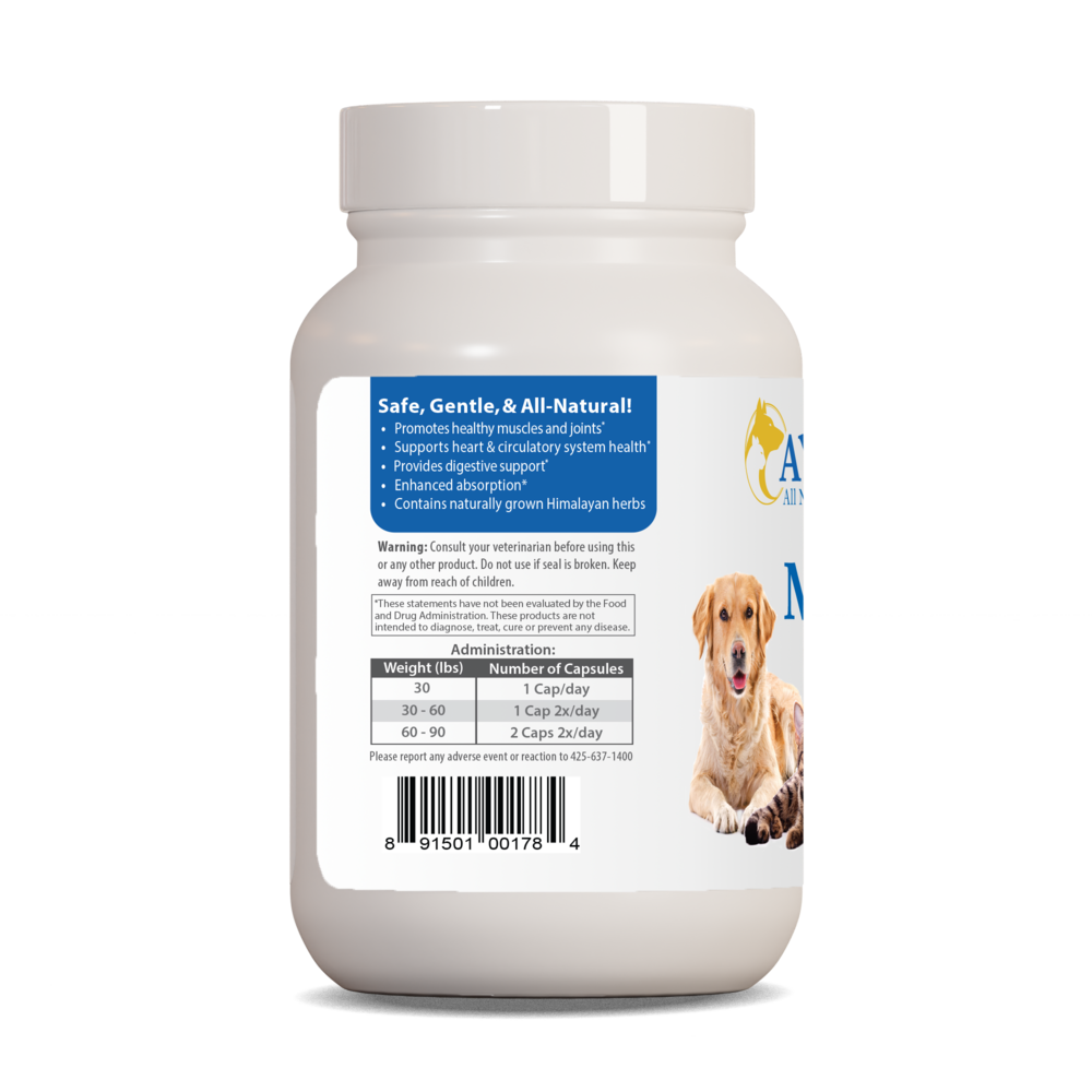 Product image for Pet Curcumin 97%.