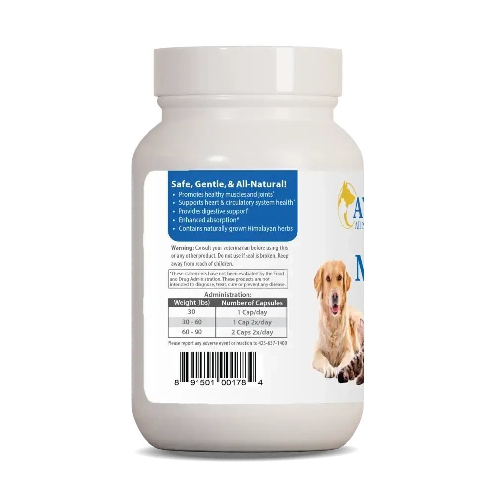 Product image for Pet Curcumin 97%.