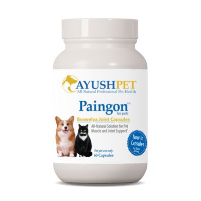Pet Paingon Capsules 60 capsules