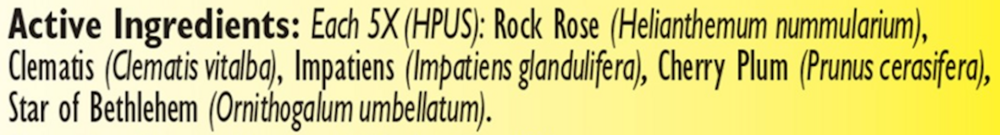 Product image for Rescue Remedy Pet.