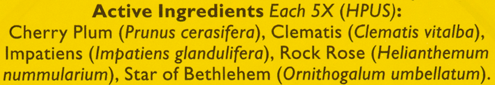 Product image for Rescue Pastilles Orange and Elderflower.