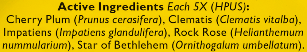 Product image for Rescue pastilles Black Currant.