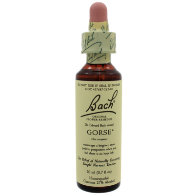 Gorse 20 Milliliters