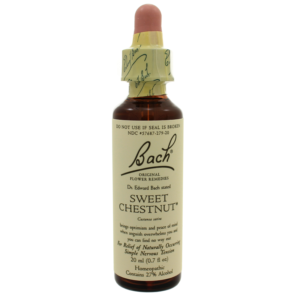 Product image for Sweet Chestnut.