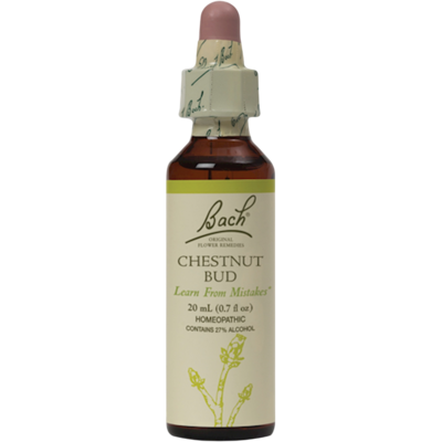 Chestnut Bud 20 Milliliters