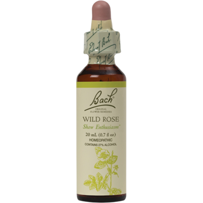 Wild Rose