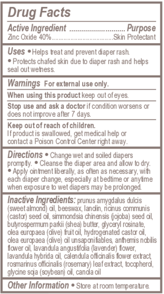 Product image for Burt's Bees Baby Diaper Ointment.