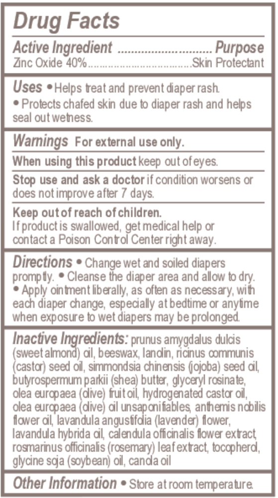 Product image for Burt's Bees Baby Diaper Ointment.