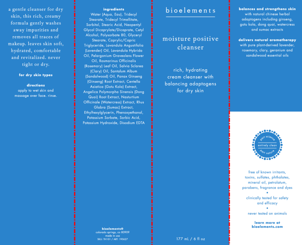 Product image for Moisture Positive Cleanser.