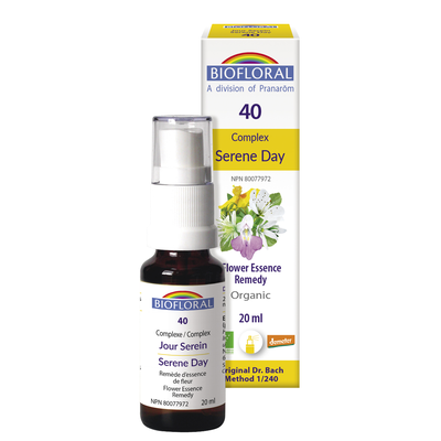 Serene Day product image
