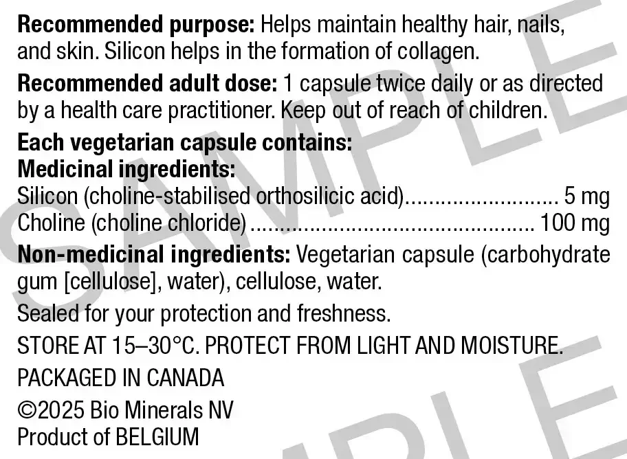 Product image for BioSil Original Capsules.