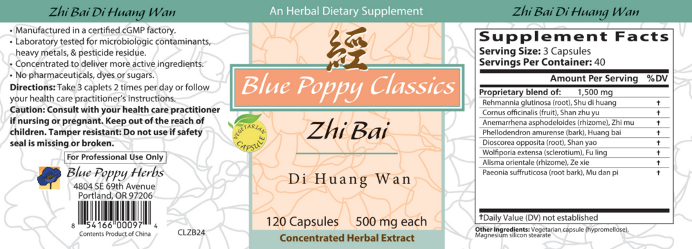 Product image for Zhi Bai Di Huang Wan.