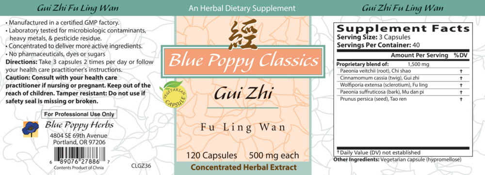 Product image for Gui Zhi Fu Ling Wan.