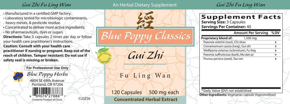 Product image for Gui Zhi Fu Ling Wan.