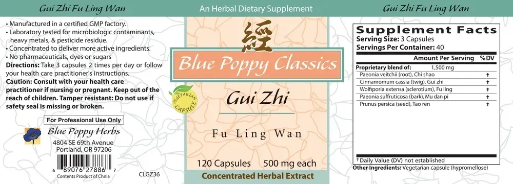 Product image for Gui Zhi Fu Ling Wan.