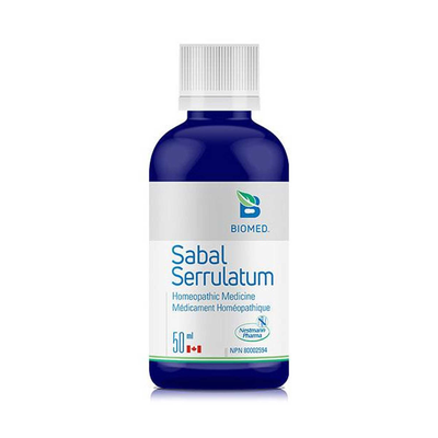 Sabal Serrulatum product image
