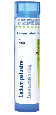 Ledum Palustre 6c 80 pellets