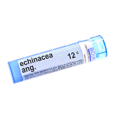Product image for Echinacea Angustifolia 12c (Pellets). Discontinued.