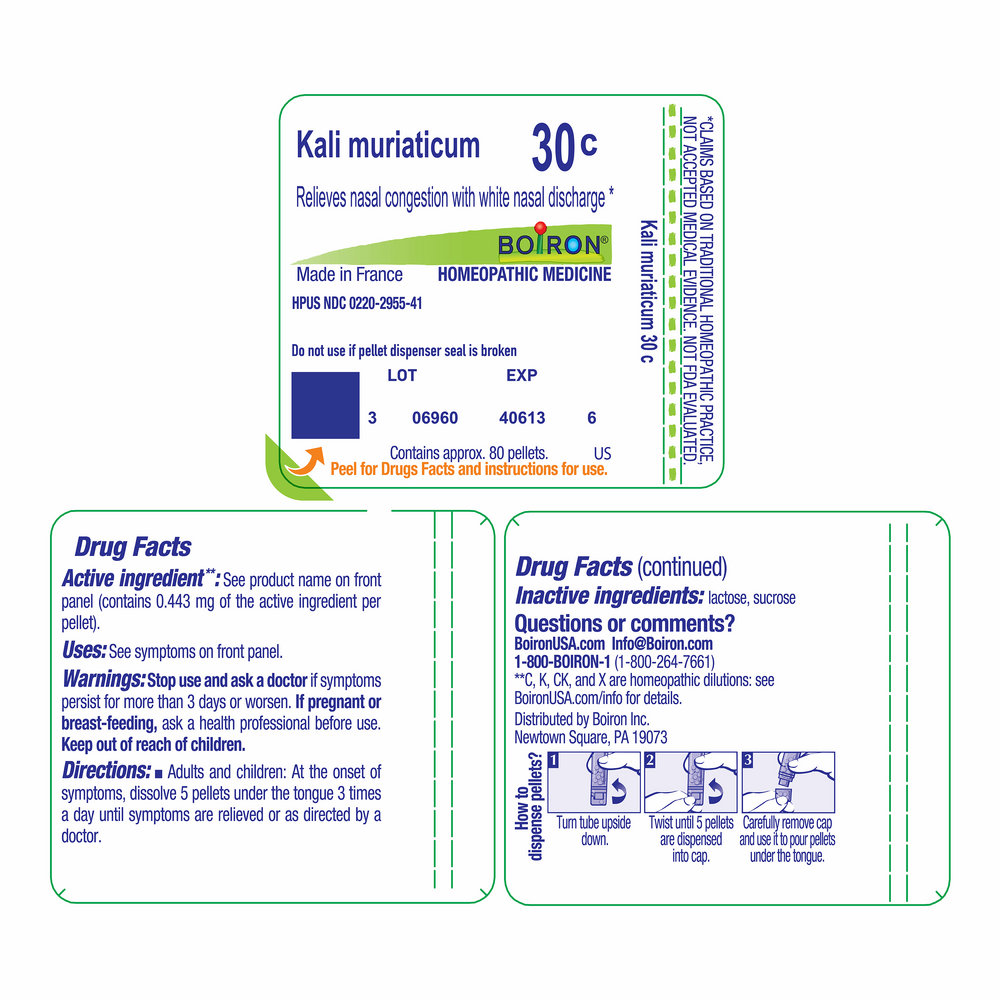 Product image for Kali Muriaticum 30c.