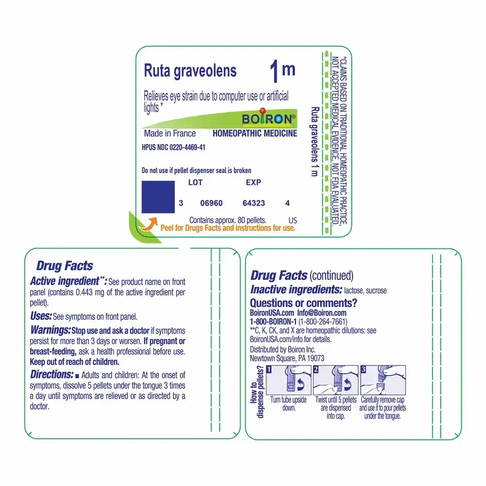 Product image for Ruta Graveolens 1m.